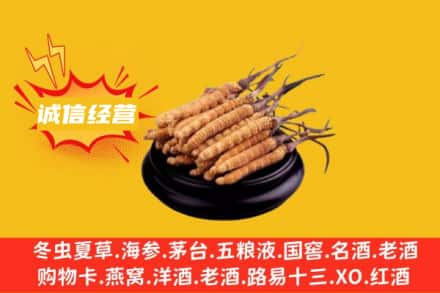 三门峡义马市回收冬虫夏草